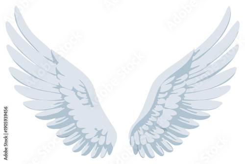 Symbolic white feathered wings spread open against a blank background conveying a sense of freedom and purity