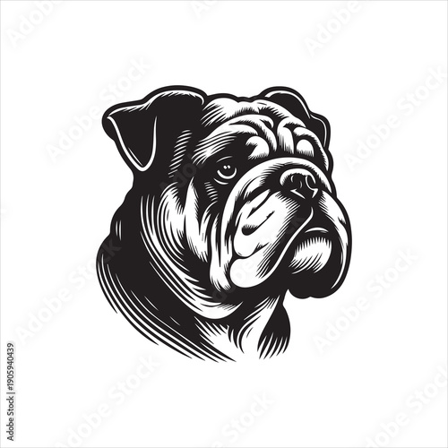 A detailed vector illustration of a bulldog's head in black and white, featuring a logo-style design with bold lines on a clean background.