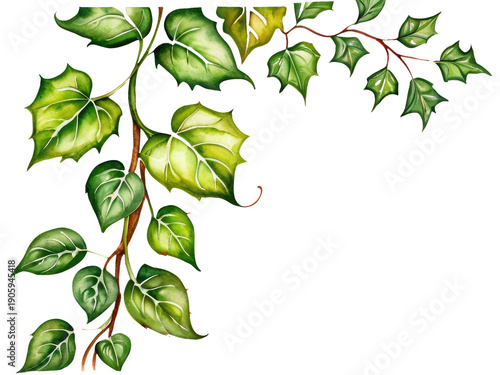 A realistic illustration of a vine with green leaves and stems
