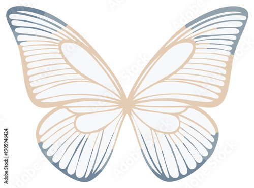 Abstract Butterfly Wings Illustration with Blue and Beige Line Art