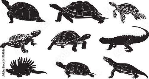 Set of nine black and white turtle and tortoise illustrations vector art wildlife animals nature reptiles isolated on white background
