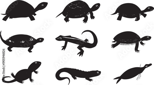 Set of nine black and white hand-drawn turtle and salamander illustrations isolated on white background for wildlife education
