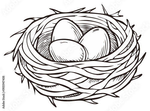 A Graphic Nest Containing Three Eggs Represented with Line Art Style in High Detail