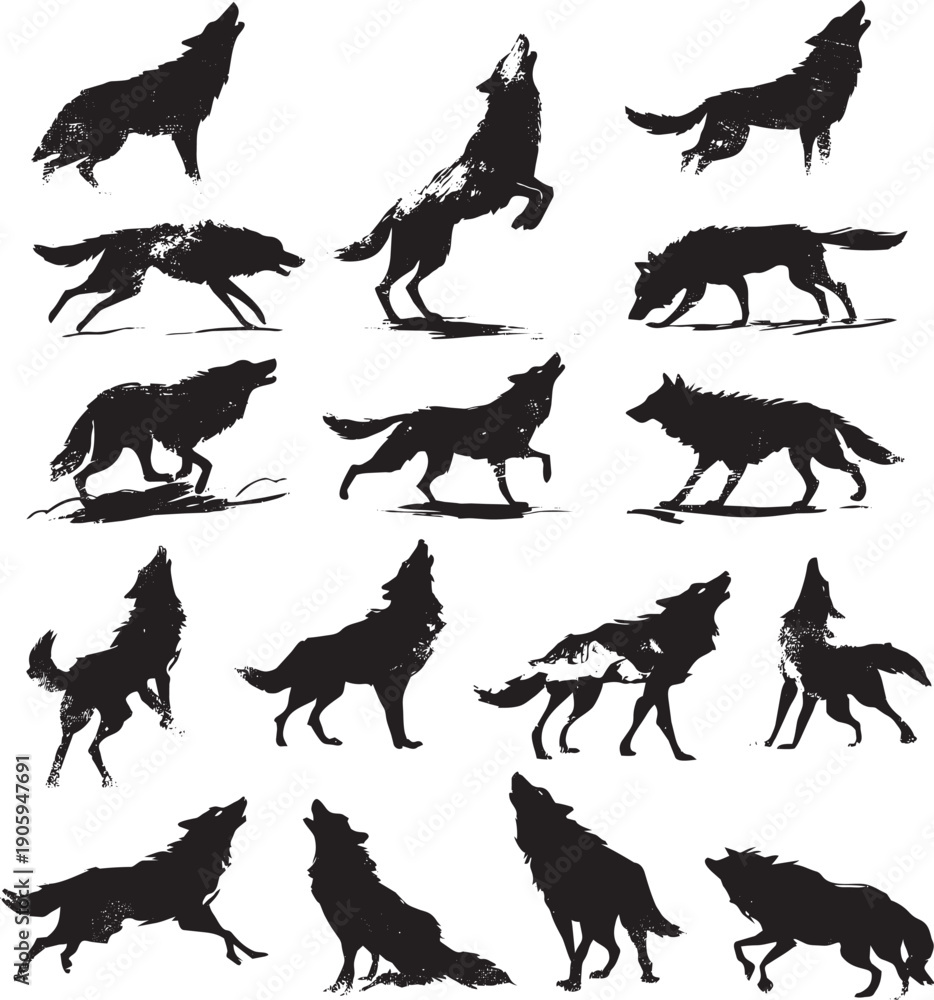 Obraz premium Set of black wolf silhouettes running howling and walking in various poses on white background vector illustration 