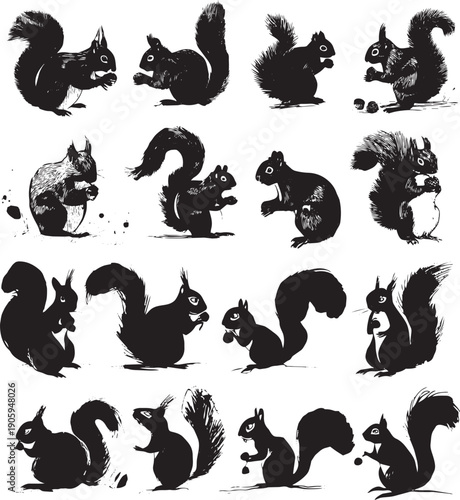 Collection of black and white hand-drawn squirrels in various playful poses and actions vector illustration set
