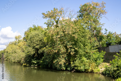 Boat tour on the river near Erba Island (Erbainsel) in Bamberg, Bavaria, Germany, scenic waterway surrounded by nature, green riverside landscape and relaxing European travel destination.