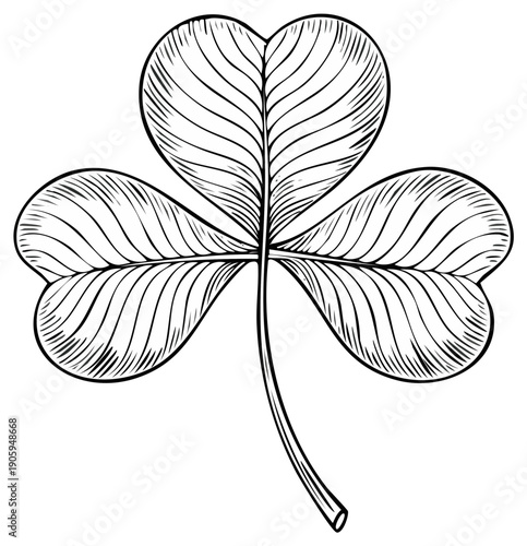 Elegant Three Leaf Clover Drawing with Detailed Veins and Stem for St Patricks Day