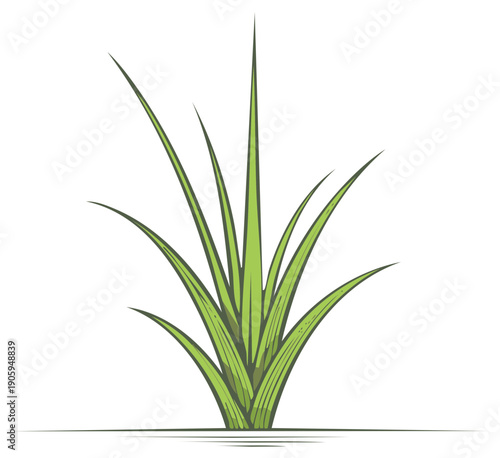 Green blades of grass sprout upward in a clump with artistic linework