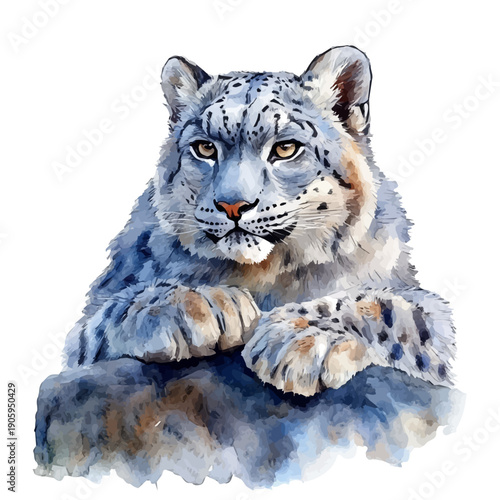 Snow Leopard, graceful vector watercolor painting with soft flowing strokes and subtle highlights, isolated on a white background.