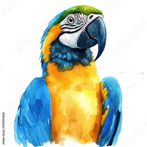 watercolor of Parrot draw, isolated on a white background.