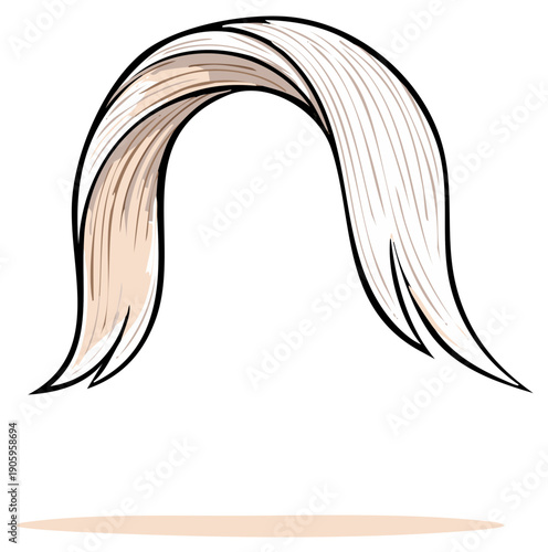 Cartoon Vector Hair with Outline, Illustration of a Hairstyle for a Character
