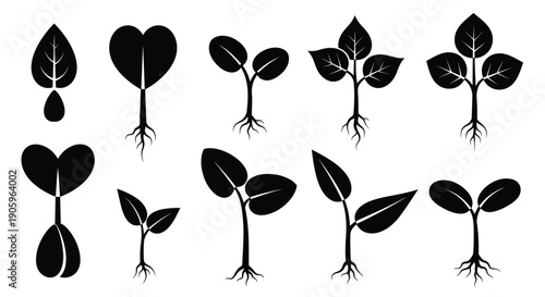 Black plant sprouts with roots a striking silhouette