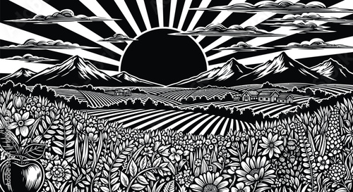 Engraved style black and white landscape showcases abundant flowering crops beneath a dramatic sunburst rising over distant.
