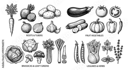 Roots, fruit vegetables, brassicas, and legumes set