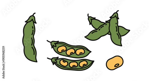 Soybean Line art filed color illustration