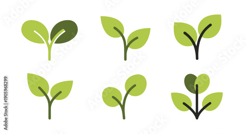 Sprout Line art color clean design