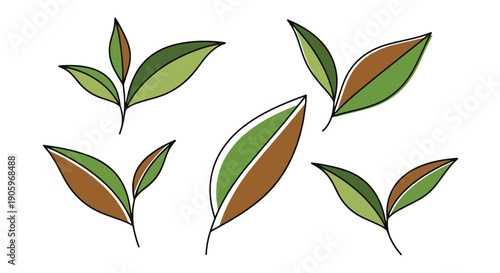 Tea Leaf Line art colorful modern style