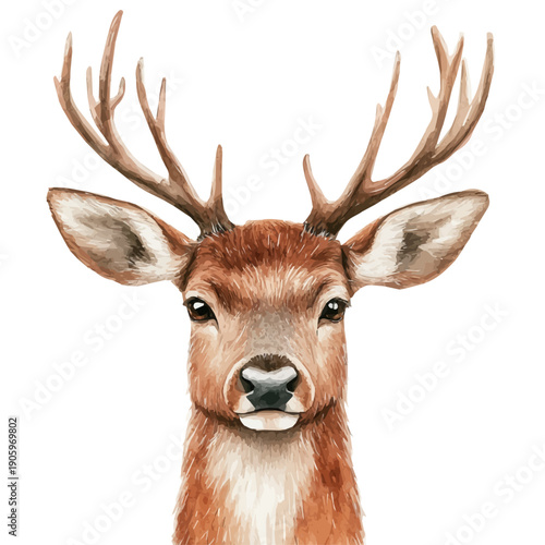 watercolor of Reindeer, vector clipart, isolated on a white background.