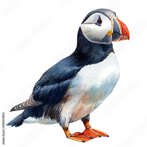 Puffin, refined watercolor illustration with luminous tones and soft layered brushwork, isolated on a white background.