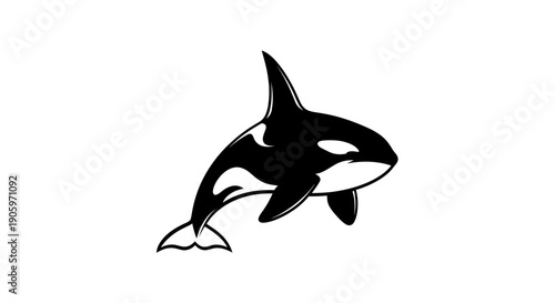 Orca whale illustration on white background