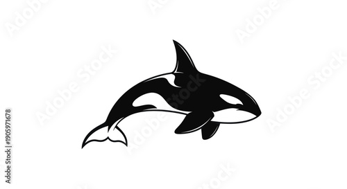 Orca whale silhouette illustration