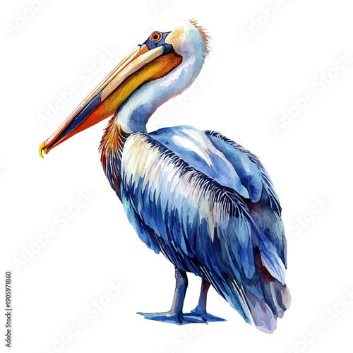 Pelican, refined watercolor illustration with luminous tones and soft layered brushwork, isolated on a white background.