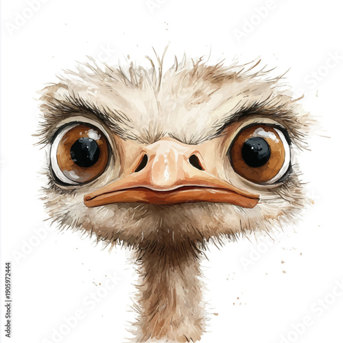 watercolor of Ostrich, vector clipart, isolated on a white background.