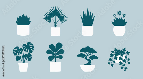 Set of eight graphic icons featuring popular indoor house plants in white pots against a gray background, concept for interior design, botany illustration and home decorating