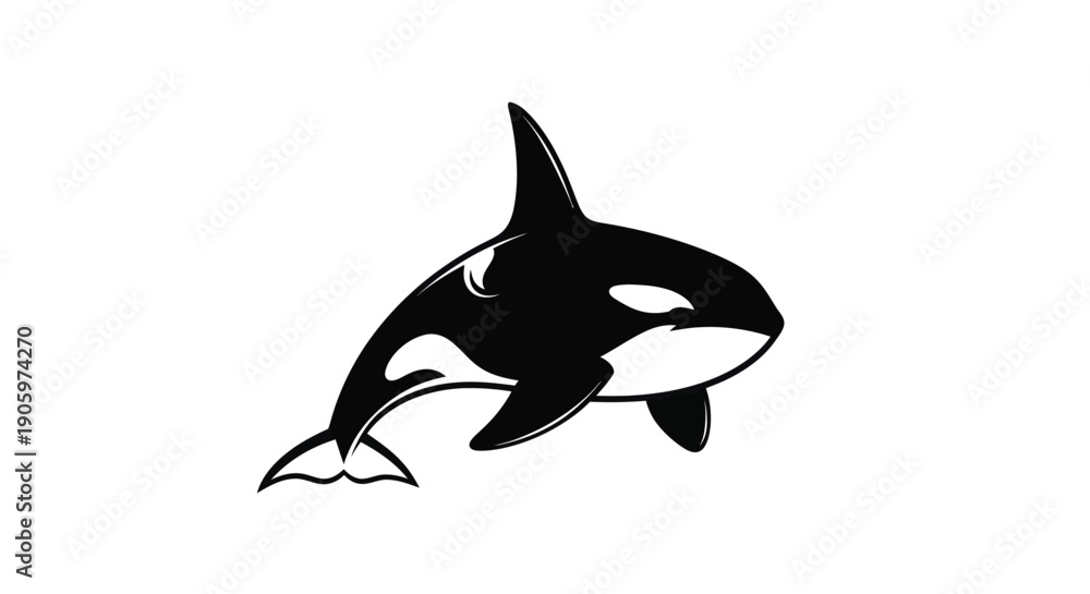 Obraz premium Orca illustration on white background
