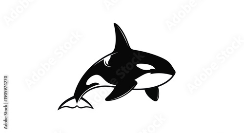 Orca illustration on white background