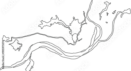 Intricate line drawing of abstract intertwining branches and vines forming organic patterns