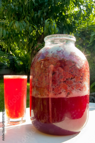 Raspberry kombucha in a glass near a jar of berries under bright sun in green garden