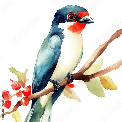 Myna Bird, illustration watercolor with playful splashes and delicate line details, isolated on a white background.