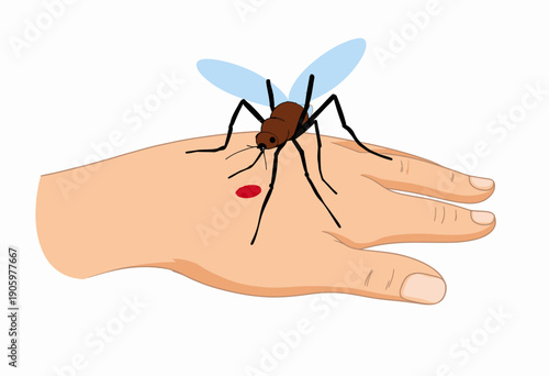Illustration of a large mosquito perched on a human hand with a red bite mark, showcasing the theme of insect interaction and potential disease transmission