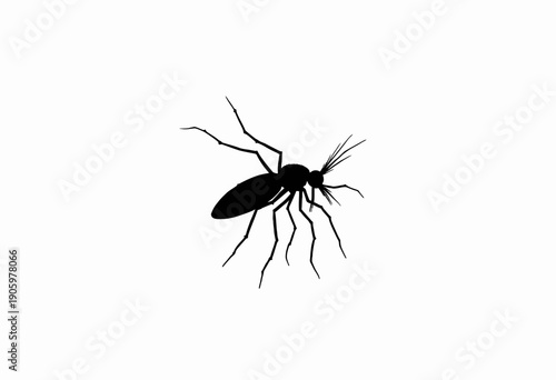 Silhouette of a Mosquito Depicting Its Distinctive Long Legs and Proboscis Against a Minimalistic White Background Highlighting Insect Anatomy and Structure