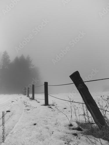 Pasture fencing. Frost, fog, remnants of snow, end of winter. Black and white photography.