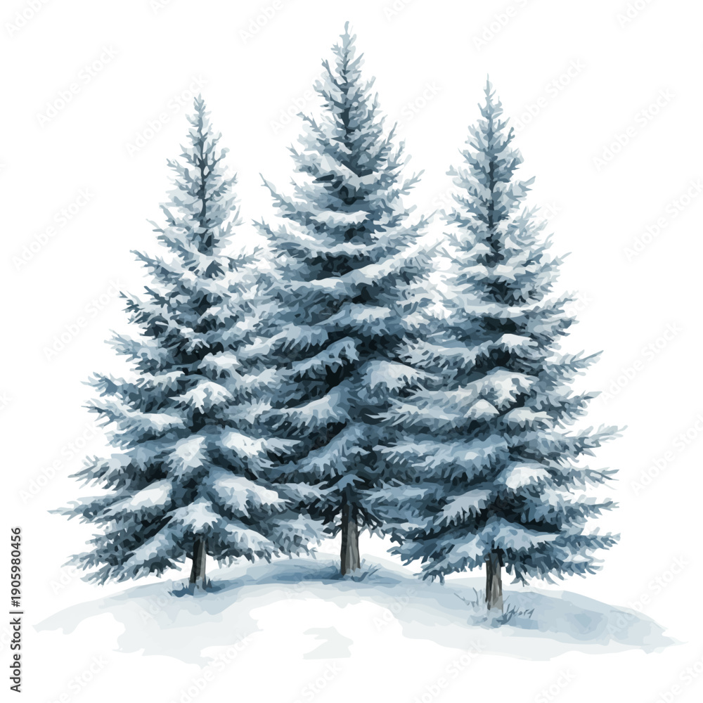 Obraz premium Snow-covered Pine Trees, watercolor painting vector, isolated on a white background.