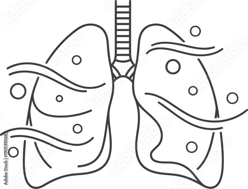 Diagram of the human lungs with labeled sections and airflow directions indicated.