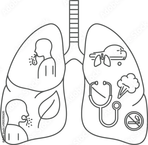 Diagram of the human lungs highlighting different regions and air passages