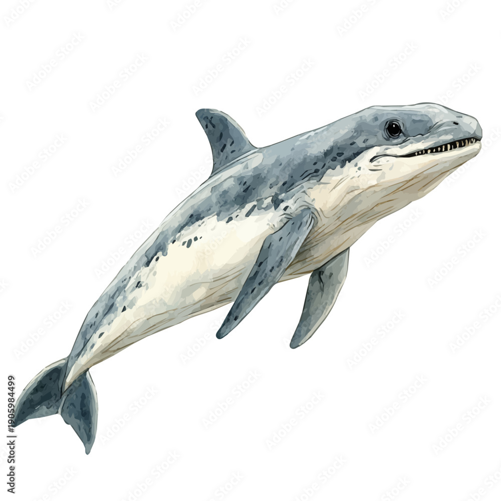 Fototapeta premium Plesiosaurus, watercolor painting vector, isolated on a white background.