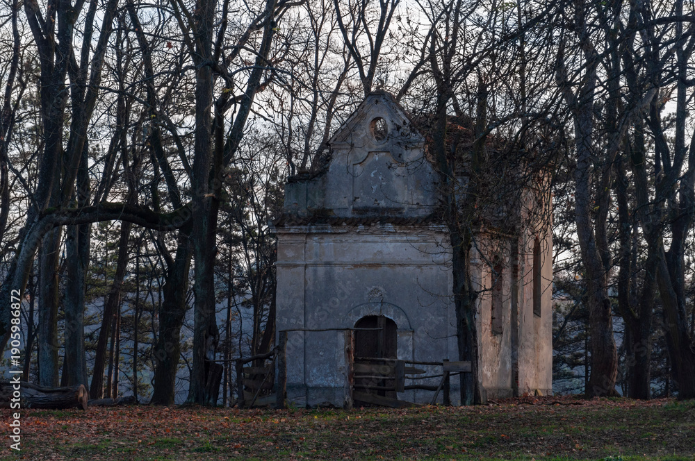 Obraz premium Abandoned Historic Palace in Eastern Europe