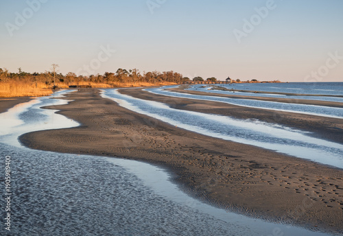 Coastal Marsh Tidal Channels Landscape