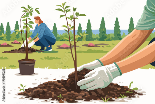 Hands planting a small tree in a fertile garden soil.