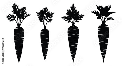 Four carrot plants depicted in a striking black silhouette