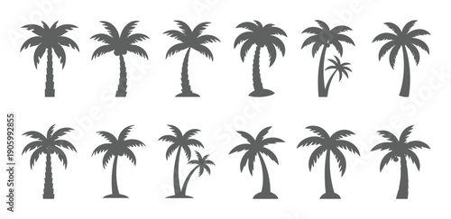 Palm tree silhouette set arranged in rows with varied tropical shapes and heights