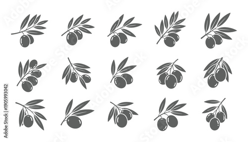 Olive branch silhouette illustrations featuring olives and foliage