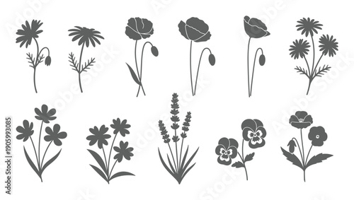 Elegant floral silhouette line drawing set with decorative botanical designs
