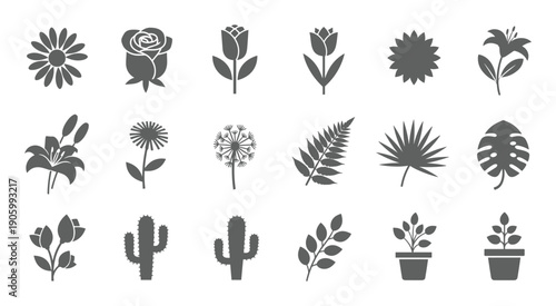 Botanical and cactus silhouette illustration set with plants and succulents