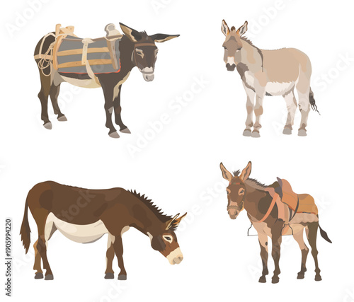 Collection cute wildlife animals. Vector hand drawn illustration set of cartoon Donkey with saddle and basket isolated on white background.