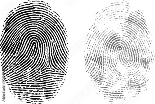 A unique black ink fingerprint vector pattern on a white background serves as forensic evidence for criminal identification and digital security